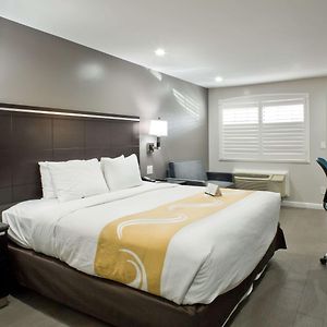 King Room Mobility accessible